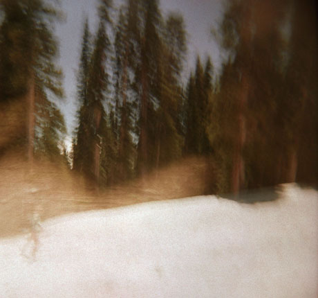 fine art photographer that lives in denver brown toned image