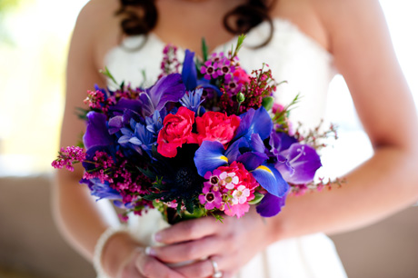 purple and pink flowers
